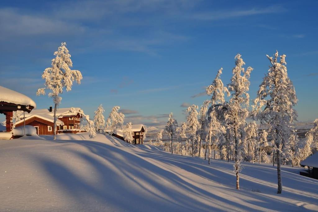 Flott Fritidsleilighet I Bualie Pa Golsfjellet Exterior photo