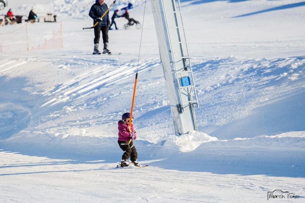 Flott Fritidsleilighet I Bualie Pa Golsfjellet Exterior photo